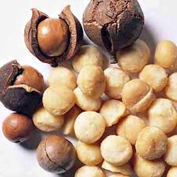 Organic Macadamia Nut Oil